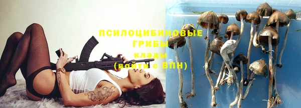 а пвп мука Алексеевка