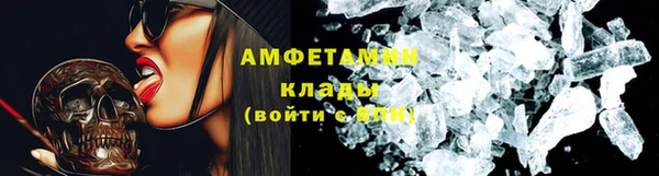 шишки Алексин