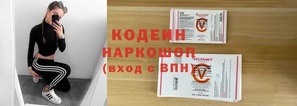 шишки Алексин