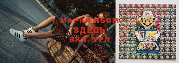 шишки Алексин