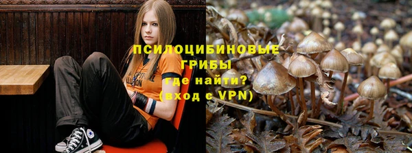 хмурый Алзамай