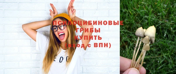 трава Козельск